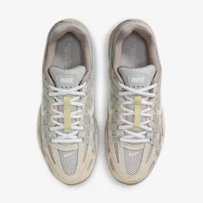 Кросівки Nike Wmns P-6000