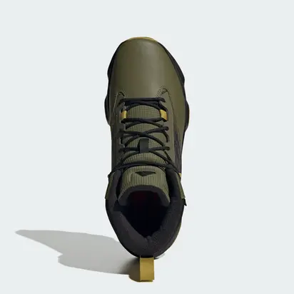 Черевики Adidas TERREX UNITY LEA MI