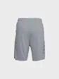 Шорти UA TECH GRAPHIC SHORT Under Armour XL Сірий