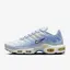 Кросівки Nike W AIR MAX PLUS, блакитний з білим