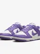 Кросівки жіночі Nike Dunk Low Next Nature ()