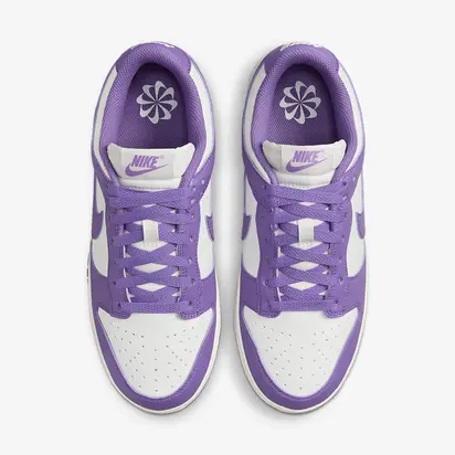 Кросівки жіночі Nike Dunk Low Next Nature ()