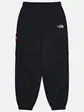 Штани The North Face Himalayan Track Pants