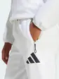 Штани Adidas W Z.N.E. PT, white pepper