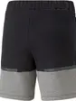 Шорти Puma teamCUP Casuals Shorts Wmn