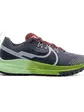 Кросівки Nike W REACT PEGASUS TRAIL 4, синій