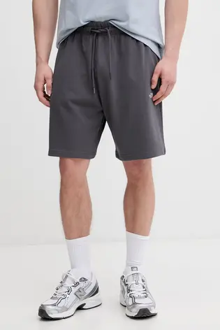 Шорти M ESSENTIAL LIGHT RELAXED SHORTS THE NORTH FACE L Сірий