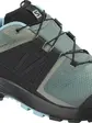 Кросівки Salomon XA WILD GTX W Green/Black/Meadowbrook, чорний