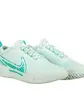 Кросівки Nike ZOOM COURT PRO HC, бірюзовий