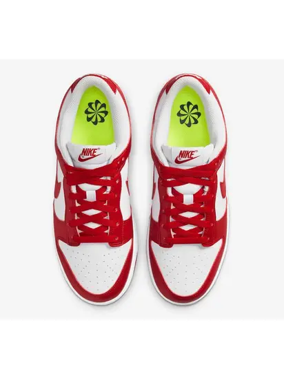 Кросівки Nike Dunk Low Next Nature