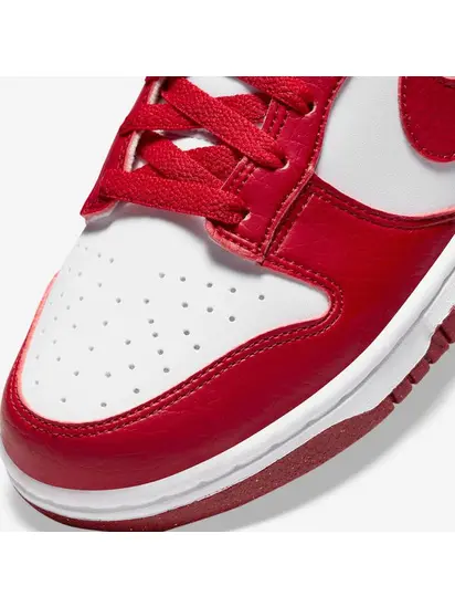 Кросівки Nike Dunk Low Next Nature