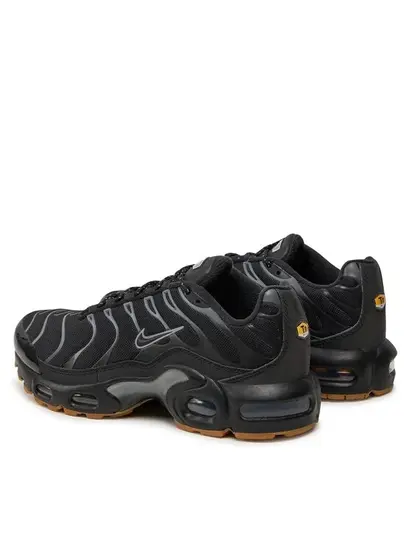 Кросівки Nike Air Max Plus, чорний