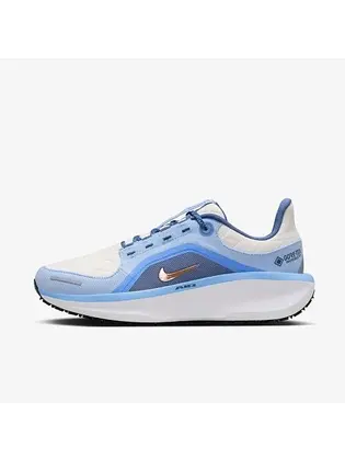 Кросівки Nike W AIR WINFLO 11 GTX