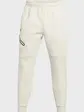Штани UA Unstoppable Flc Jgr EU Under Armour M Бежевий
