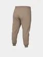 Штани Nike W NSW PHNX FLC HR PANT STD, бежевий