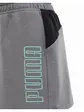Шорти Puma