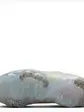 Кросівки Nike Air Vapormax 2021 Beige