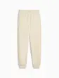 Штани ESS No. 1 Logo Sweatpants Puma L Бежевий