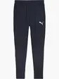 Штани Puma teamGOAL Slim Training Pants