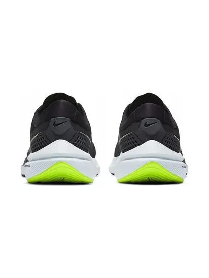 Кросівки Nike Air Vomero 15