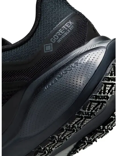 Кросівки Nike Pegasus 41 GORE-TEX Waterproof Road Running