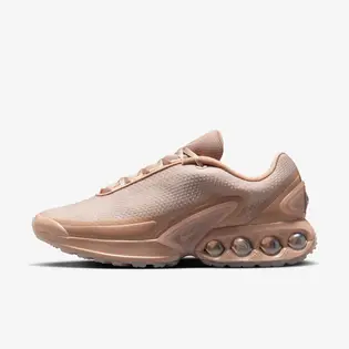 Кросівки Nike W Air Max DN ISA