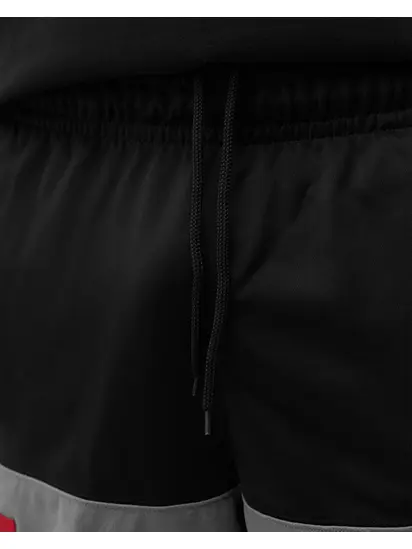 Шорти Jordan Dri-Fit Air Statement Shorts