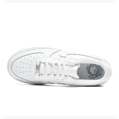 Кросівки Nike Air Force 1 LE (GS) (DH2920-111)
