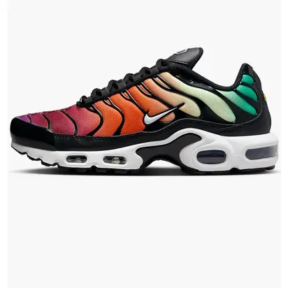 Кросівки Nike Air Max Plus Rainbow (W)