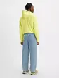 Джинси Levis Skate Super Baggy