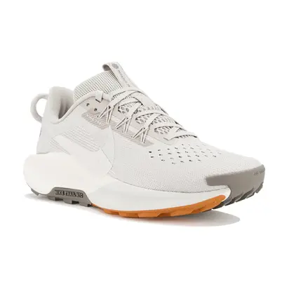 Кросівки Nike Pegasus Trail 5