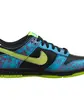 Кросівки Nike Dunk Low SE
