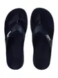 Шльопанці Aqua Flip Puma 7 (40,5) Темно-синій