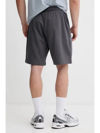 Шорти M ESSENTIAL LIGHT RELAXED SHORTS THE NORTH FACE L Сірий